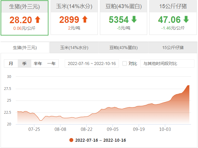 今日猪价：2022.10.16全国生猪价格