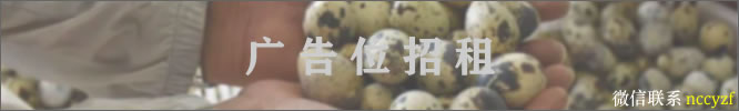 文中广告