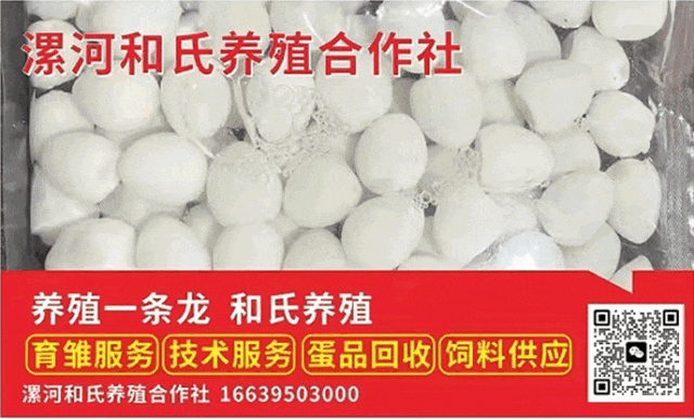 漯河和氏养殖合作社