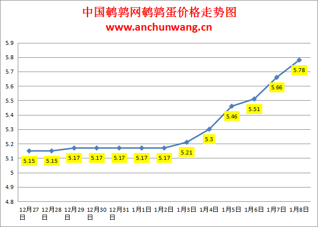 2024.1.8中国鹌鹑网全国鹌鹑蛋价格报价