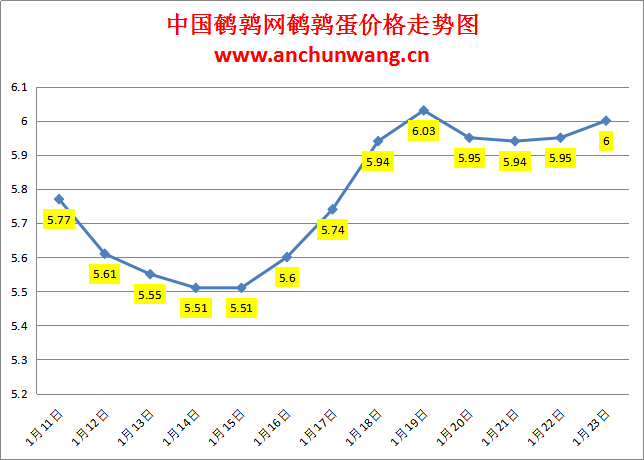 2024.1.23中国鹌鹑网全国鹌鹑蛋价格报价