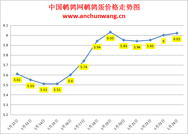 2024.1.24中国鹌鹑网全国鹌鹑蛋价格报价