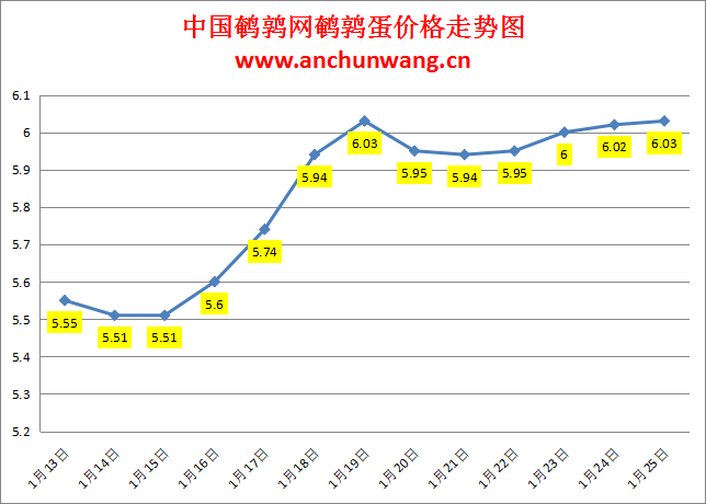2024.1.25中国鹌鹑网全国鹌鹑蛋价格报价