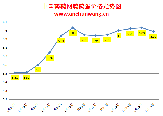 2024.1.26中国鹌鹑网全国鹌鹑蛋价格报价