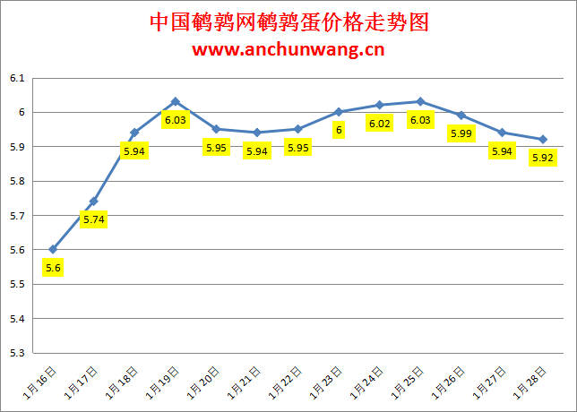 2024.1.28中国鹌鹑网全国鹌鹑蛋价格报价