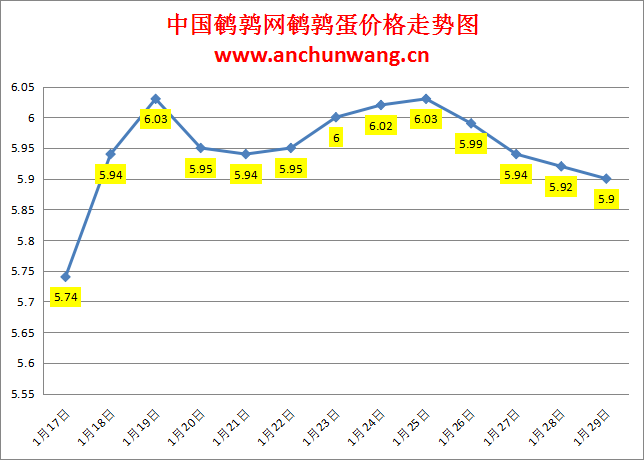 2024.1.29中国鹌鹑网全国鹌鹑蛋价格报价