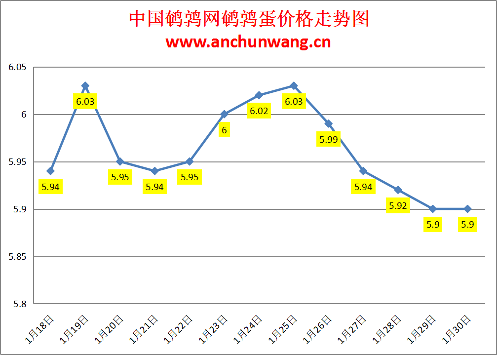 2024.1.30中国鹌鹑网全国鹌鹑蛋价格报价