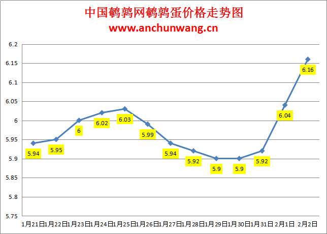 2024.2.2中国鹌鹑网全国鹌鹑蛋价格报价