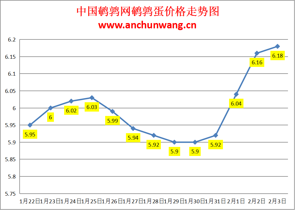 2024.2.3中国鹌鹑网全国鹌鹑蛋价格报价