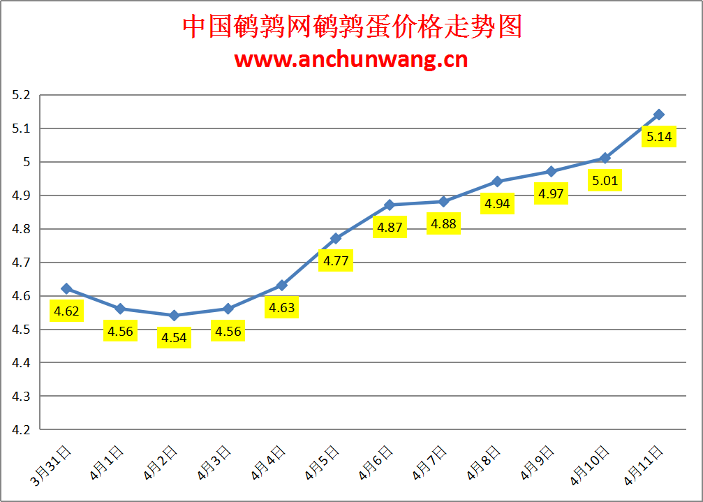 2024.4.11全国鹌鹑蛋价格：多地涨 均价5.14元