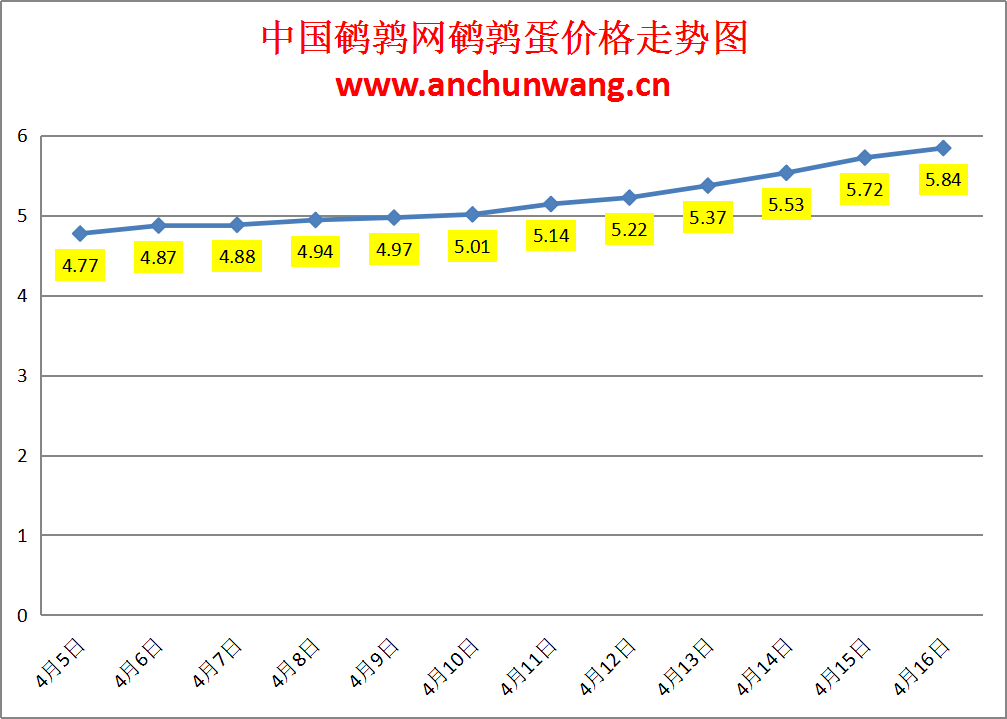2024.4.16全国鹌鹑蛋价格：缺蛋 均价5.84元