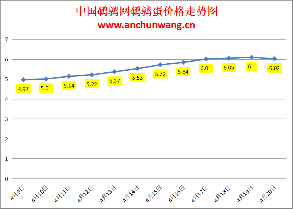 2024.4.20全国鹌鹑蛋价格：局部跌 均价6.02元