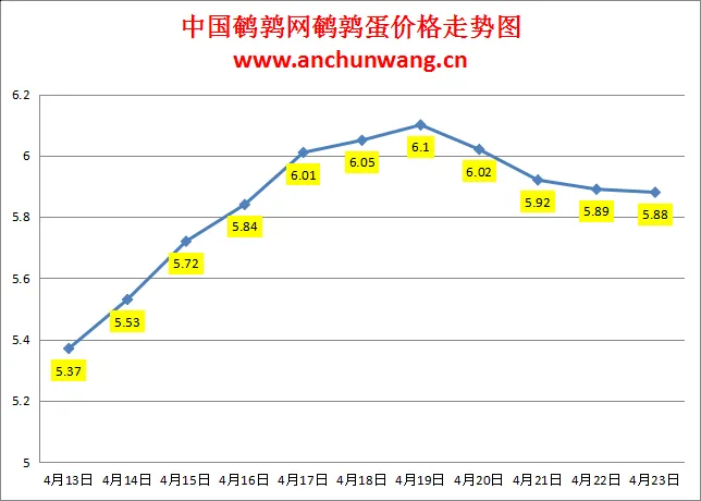 2024.4.23全国鹌鹑蛋价格：个别跌 均价5.88元