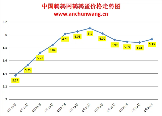 2024.4.24全国鹌鹑蛋价格：多地涨 均价5.93元
