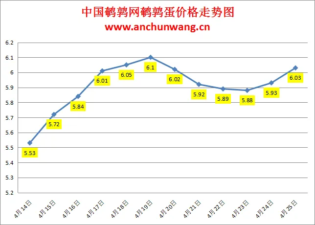 2024.4.25全国鹌鹑蛋价格：继续涨 均价6.03元