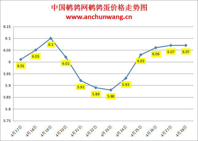 2024.4.28全国鹌鹑蛋价格：稳为主 均价6.07元