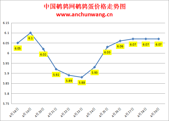 2024.4.29全国鹌鹑蛋价格：稳为主 均价6.07元