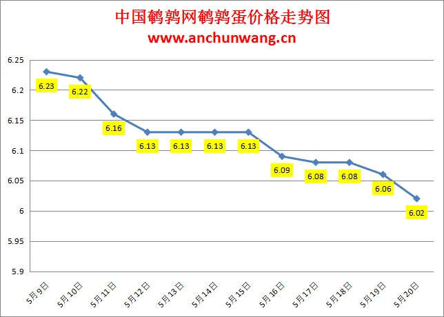 2024.5.20全国鹌鹑蛋价格：局部跌 均价6.02元