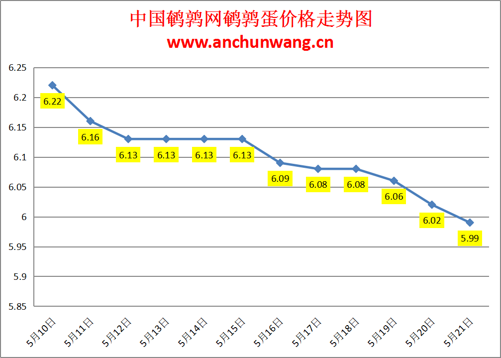 2024.5.21全国鹌鹑蛋价格：局部跌 均价5.99元