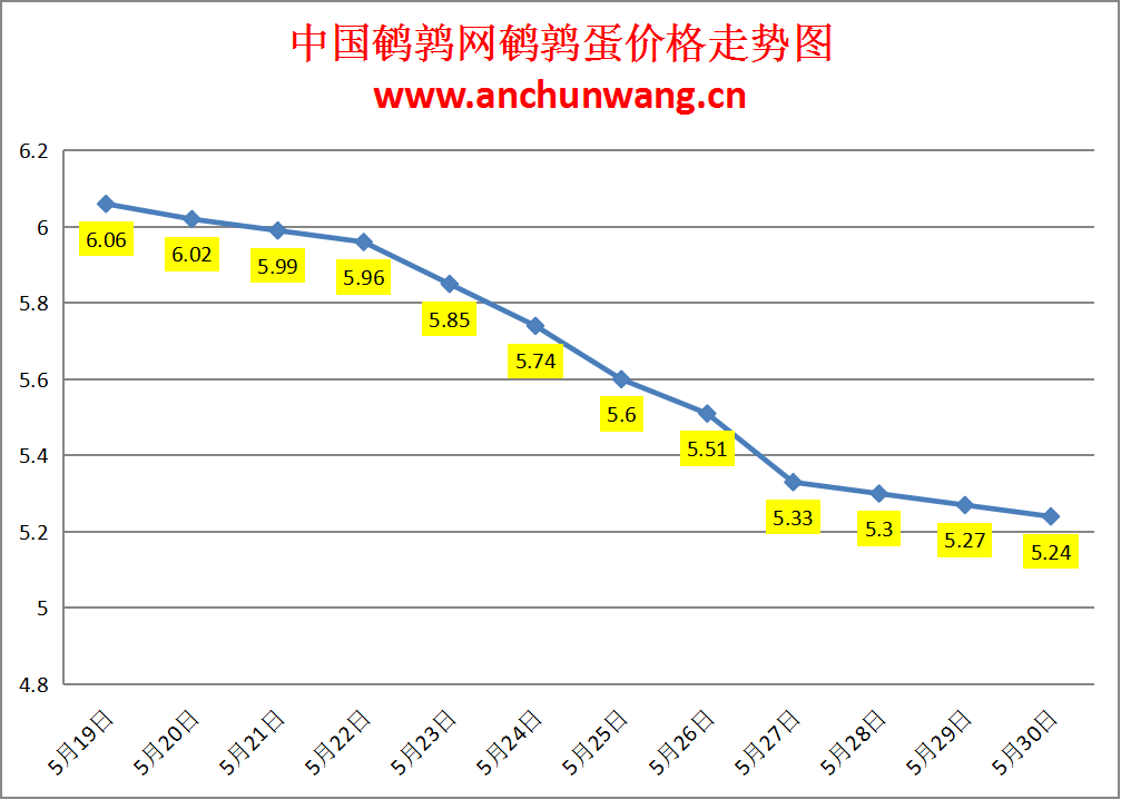 2024.5.30全国鹌鹑蛋价格：局部跌 均价5.24元