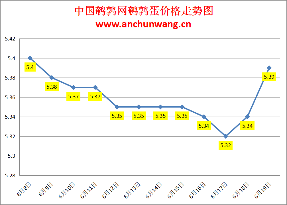 2024.6.19全国鹌鹑蛋价格：局部涨 均价5.39元