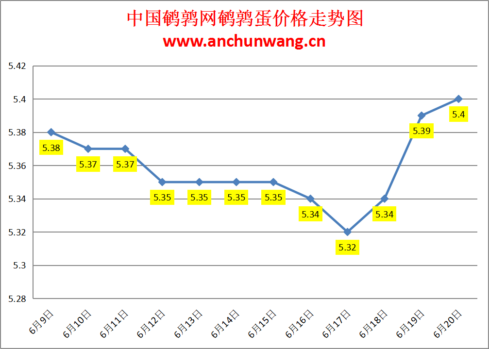 2024.6.20全国鹌鹑蛋价格：个别涨 均价5.4元