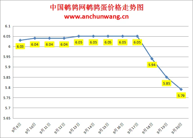 2024.9.20全国鹌鹑蛋价格：局部跌，均价5.79元