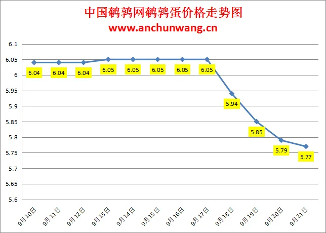 2024.9.21全国鹌鹑蛋价格：个别跌，均价5.77元