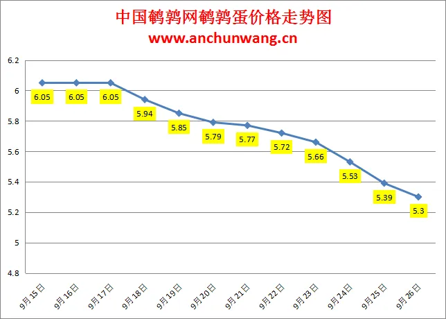 2024.9.26全国鹌鹑蛋价格：均价5.3元，继续跌