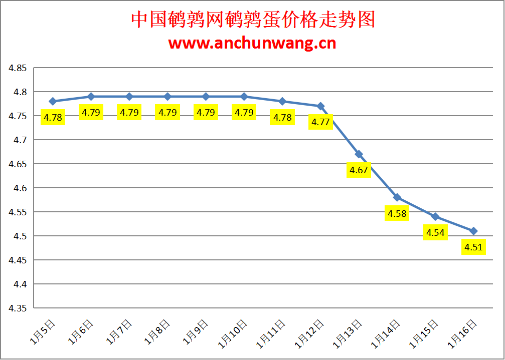 2025.1.16全国鹌鹑蛋价格：均价4.51元，局部跌