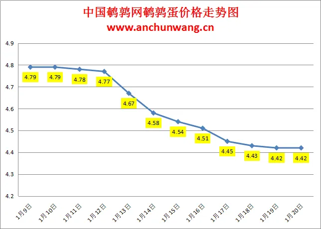 2025.1.20全国鹌鹑蛋价格：均价4.42元，稳为主