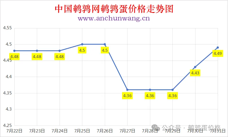2025年7月31日中国鹌鹑网全国鹌鹑蛋价格涨跌表：均价4.49元 多地涨