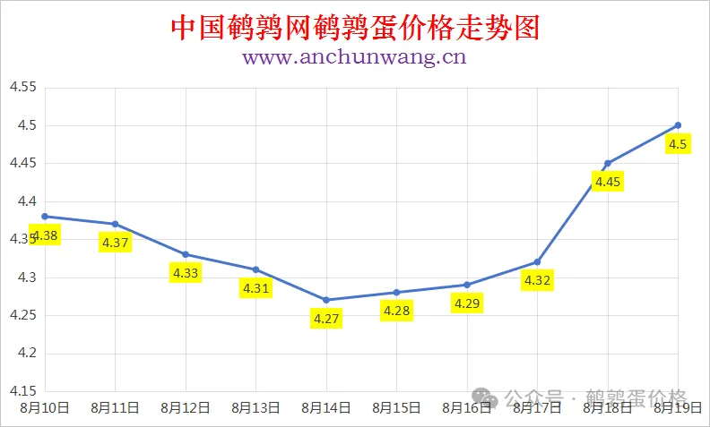 2025年8月19日中国鹌鹑网全国鹌鹑蛋价格涨跌表：均价4.5元 局部上涨