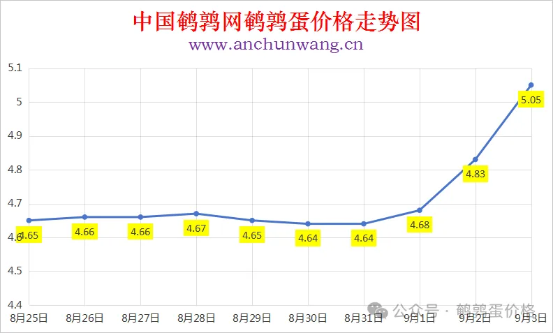 2025年9月3日中国鹌鹑网全国鹌鹑蛋价格涨跌表：均价5.05元 大涨