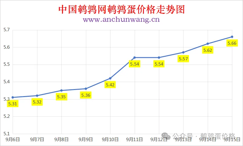 2025年9月15日中国鹌鹑网全国鹌鹑蛋价格涨跌表：均价5.66元 局部涨