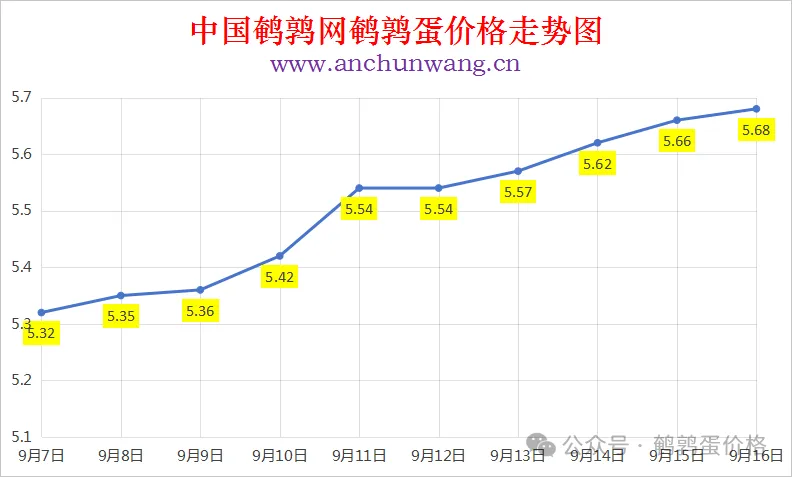 2025年9月16日中国鹌鹑网全国鹌鹑蛋价格涨跌表：均价5.68元 局部涨