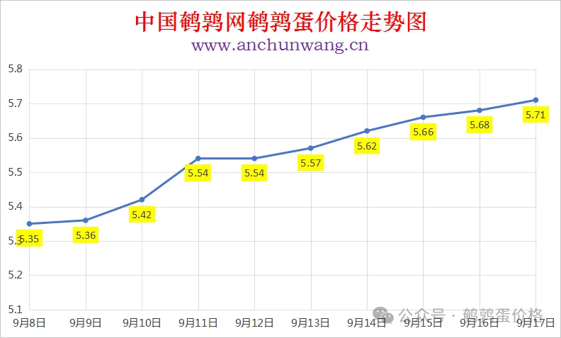 2025年9月17日中国鹌鹑网全国鹌鹑蛋价格涨跌表：均价5.71元 局部涨