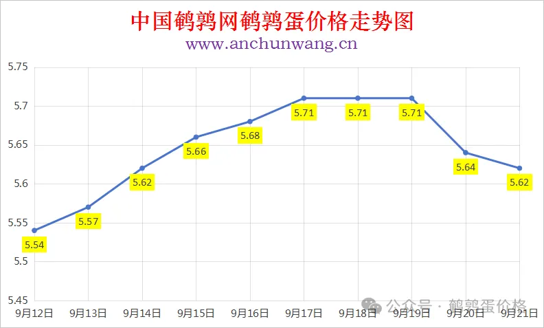 2025年9月21日中国鹌鹑网全国鹌鹑蛋价格涨跌表：均价5.62元 局部跌