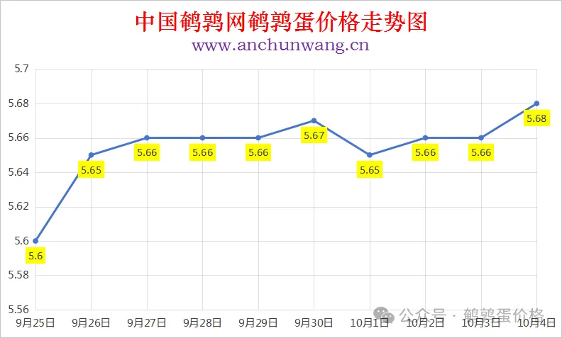 2025年10月4日中国鹌鹑网全国鹌鹑蛋价格涨跌表：均价5.68元 局部涨