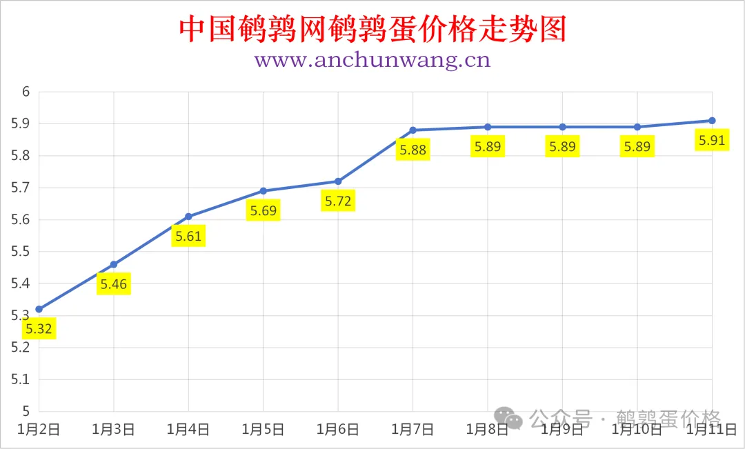 2026年1月11日全国鹌鹑蛋价格涨跌表：均价5.91元 个别涨