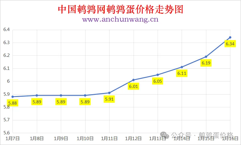2026年1月16日全国鹌鹑蛋价格涨跌表：均价6.34元 多地涨