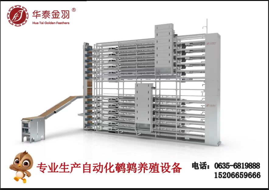 山东华泰金羽：专业生产自动化畜牧养殖设备